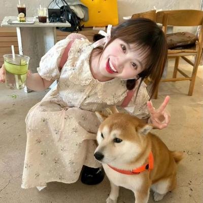 小鱼历险记