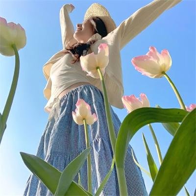 新楚留香