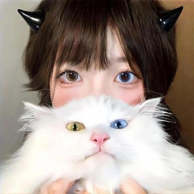 棒坛风云录